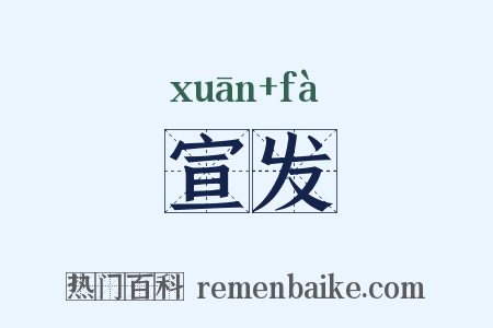 宣发是什么意思的图片